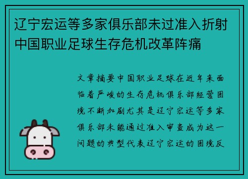 辽宁宏运等多家俱乐部未过准入折射中国职业足球生存危机改革阵痛 辽宁宏运等多家俱乐部未过准入折射中国职业足球生存危机改革阵痛